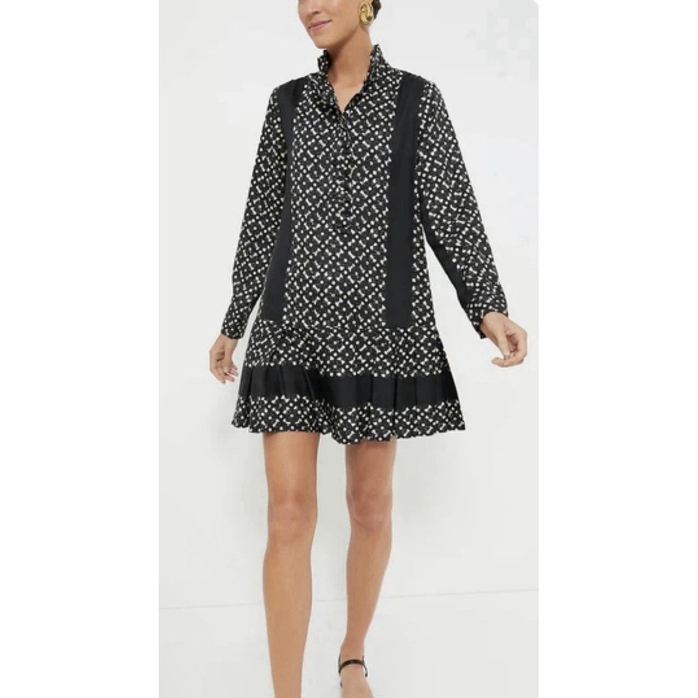 Tuckernuck Size Medium Tate Geo Ruffle Pleated L/S Drop Waist Mini Dress Black